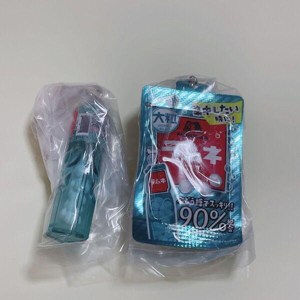 森永ラムネ ミニチュアチャーム ミニチュア ラムネ 大粒ラムネ ガチャガチャ カプセルトイ キーホルダー