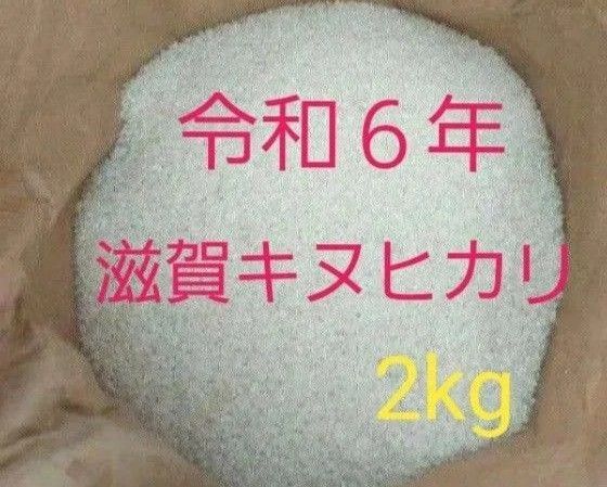 お試し価格 令和6年キヌヒカリ 100%キヌヒカリ 滋賀県産キヌヒカリ 2kg弱 滋賀県 キヌヒカリ 新米 米 白米
