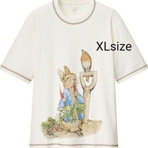 【新品未使用】ピーターラビットオーバーサイズTシャツ(半袖)XLサイズ ピーターラビットTシャツ