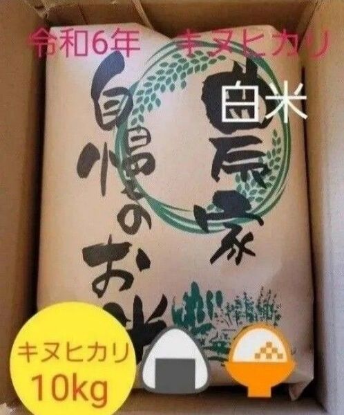 残りわずか 令和6年キヌヒカリ 滋賀県産キヌヒカリ 10kg 滋賀県 キヌヒカリ 新米 米 白米