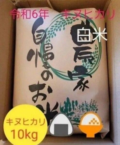 令和6年キヌヒカリ 滋賀県産キヌヒカリ 10kg 滋賀県 キヌヒカリ 新米 米 白米
