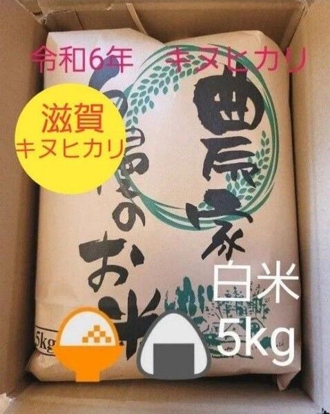 限定価格 令和6年キヌヒカリ 滋賀県産キヌヒカリ 5kg 滋賀県 キヌヒカリ 米 白米