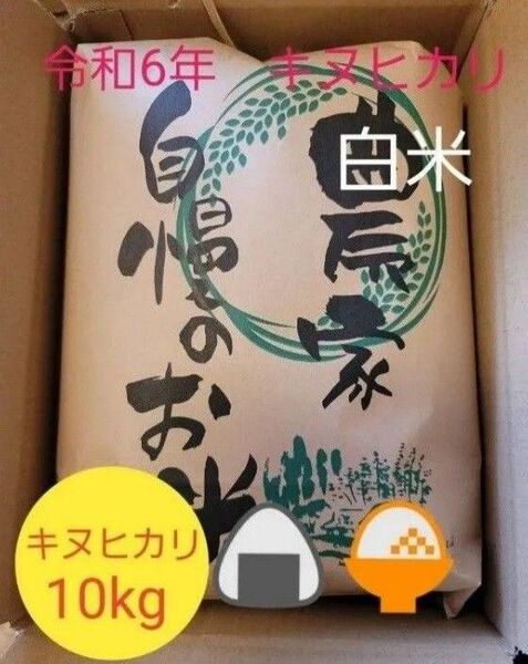 限定価格 令和6年キヌヒカリ 滋賀県産キヌヒカリ 10kg 滋賀県 キヌヒカリ 新米 米 白米