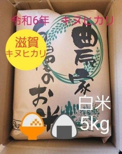 限定価格 令和6年キヌヒカリ 滋賀県産キヌヒカリ 5kg 滋賀県 キヌヒカリ 新米 米 白米