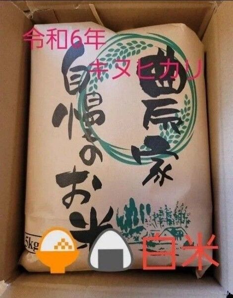 残りわずか 5kg 令和6年キヌヒカリ 滋賀県産キヌヒカリ 5kg 滋賀県 キヌヒカリ 米5kg 米 白米