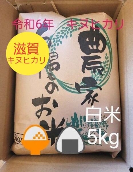 限定価格 令和6年キヌヒカリ 滋賀県産キヌヒカリ 5kg 滋賀県 キヌヒカリ 新米 米 白米