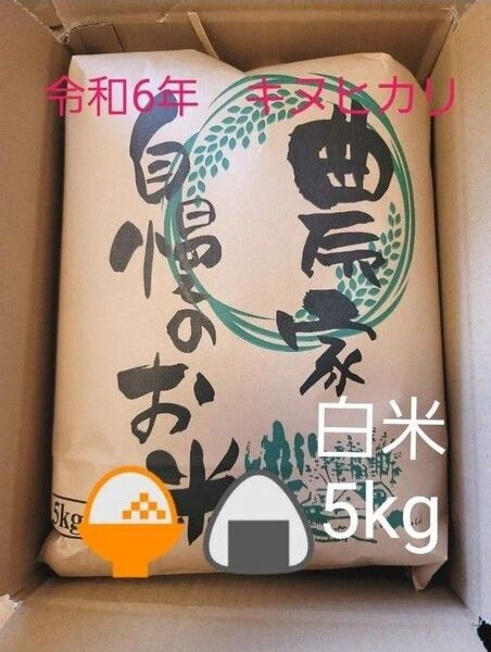 限定価格 令和6年キヌヒカリ 滋賀県産キヌヒカリ 5kg 滋賀県 キヌヒカリ 新米 米 白米