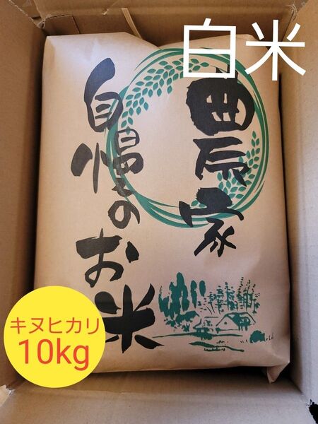 限定価格 令和6年キヌヒカリ 滋賀県産キヌヒカリ 10kg 滋賀県 キヌヒカリ 新米 米 白米