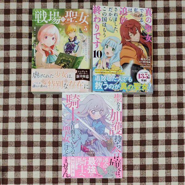 戦場の聖女 真の聖女である私は追放されました。だからこの国はもう終わり 聖なる加護持ち令嬢は騎士を目指しているので聖女になりません
