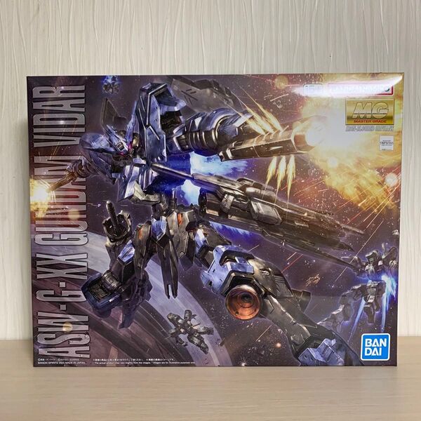 MG ガンダムヴィダール プラモデル ガンプラ