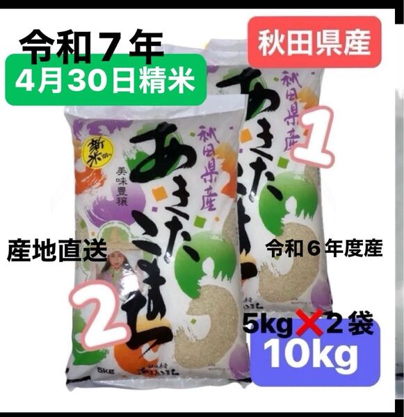 【人気商品】秋田県産 あきたこまち 10キロ (5kgを2袋) 令和6年度産 新米 令和7年4月30日精米 昭産商事 単一原料米