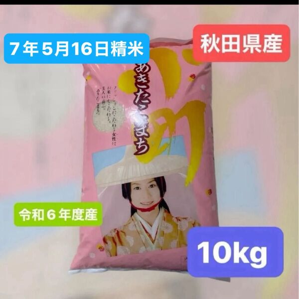 【人気商品】あきたこまち 白米 10キロ 令和6年度産 秋田県産 令和7年5月16日精米 単一原料米 本日発送 産地直送