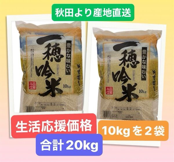 【生活応援価格】白米 20キロ 10キロ を2袋セット 令和7年4月23日精米 お買得 複数原料米(国産) 昭産商事 本日発送