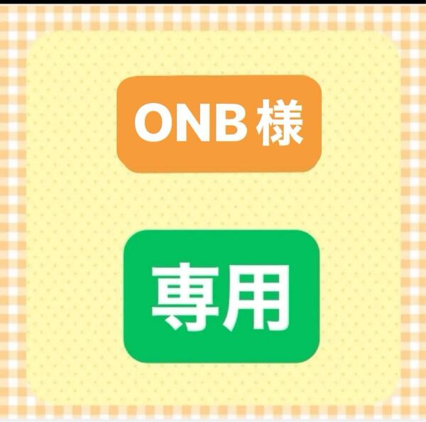 【1袋のみ訳あり】秋田県産 あきたこまち 白米 10キロ (5キロ を2袋)令和6年産 令和7年5月中旬精米 訳あり価格 本日発送
