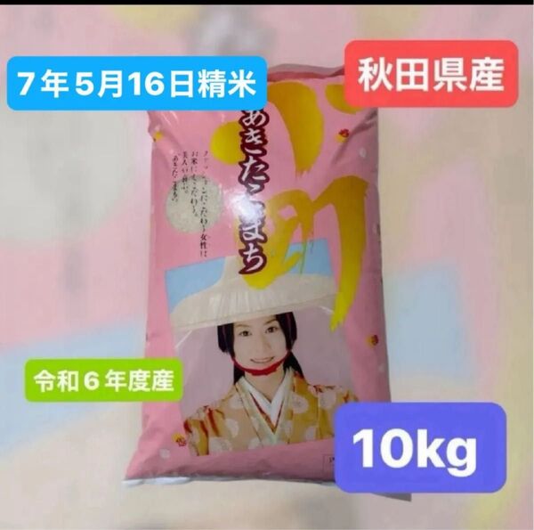 【人気商品】あきたこまち 白米 10キロ 令和6年度産 秋田県産 令和7年5月16日精米 単一原料米 本日夕方発送 産地直送