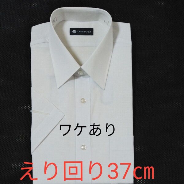 DAIMARU 大丸 半袖ワイシャツ(麻混) サイズ37(えり回り) ホワイト ワケあり