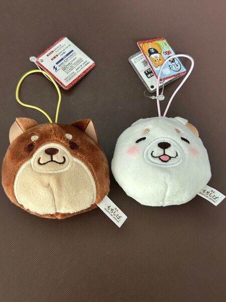新品タグ付き 忠犬もちしば フェイスマスコット 2点セット