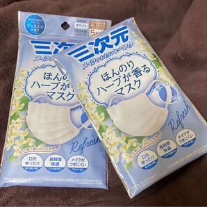 三次元 マスク