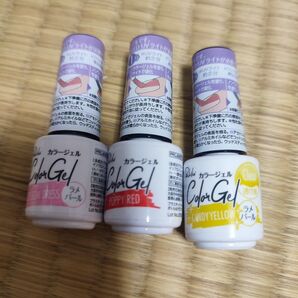 parkikoi カラージェル colorgel 3色セット
