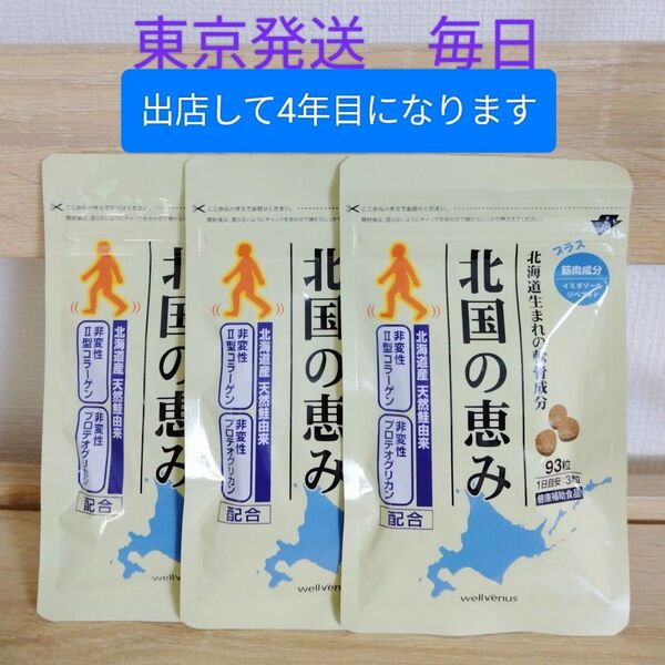 北国の恵み プロテオグリカン グルコサミン コンドロイチン 3袋 賞味期限2026.11