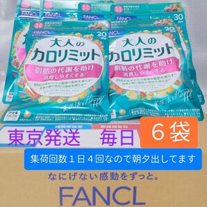 ファンケル 大人のカロリミット 30回分/90粒×6