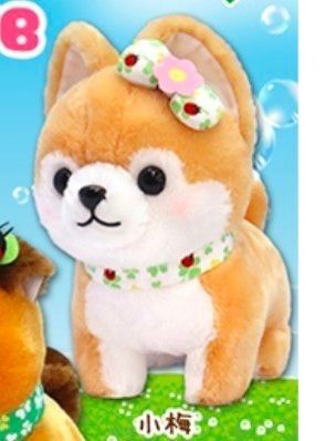 豆しば三兄弟ハッピークローバーJB 小梅 紙タグ付き 24cm