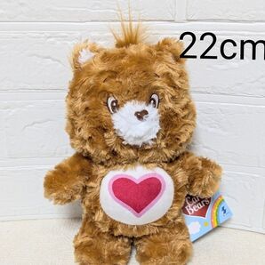ケアベア ローズボアMBぬいぐるみ 22cm
