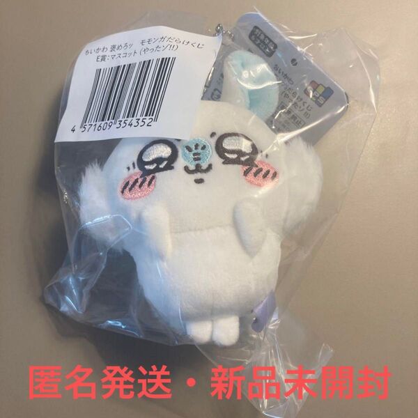 【匿名発送】ちいかわ モモンガだらけくじE賞やったゾ!新品未開封