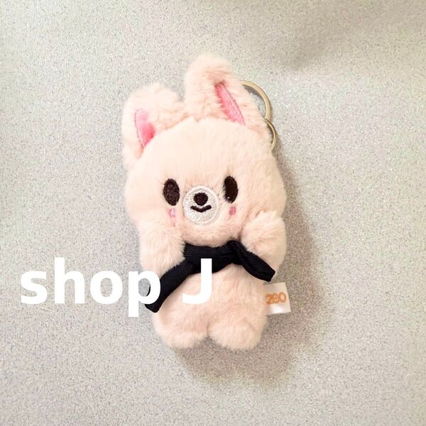 stray kids skzoo アイエン フォクシニー ぬいぐるみ キーホルダー キーリング