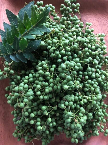 天然山椒の実 300g