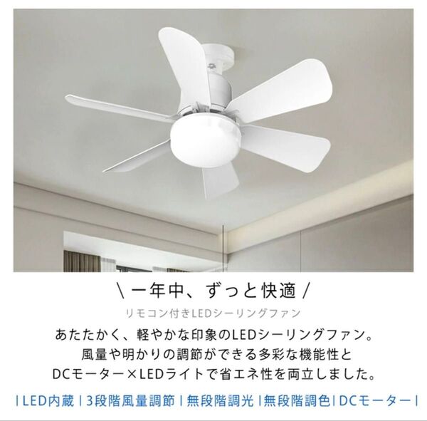 大特価!!!新品未使用LEDシーリングファンライト ホワイト 白 コンパクトサイズ シーリングライト E26 照明器具