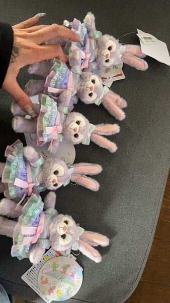ディズニーシー ステラルー ぬいぐるみバッジ 5点