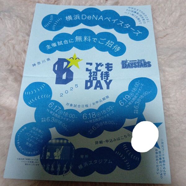 横浜DeNAベイスターズ こども招待DAY 申し込みチラシ 9枚セット