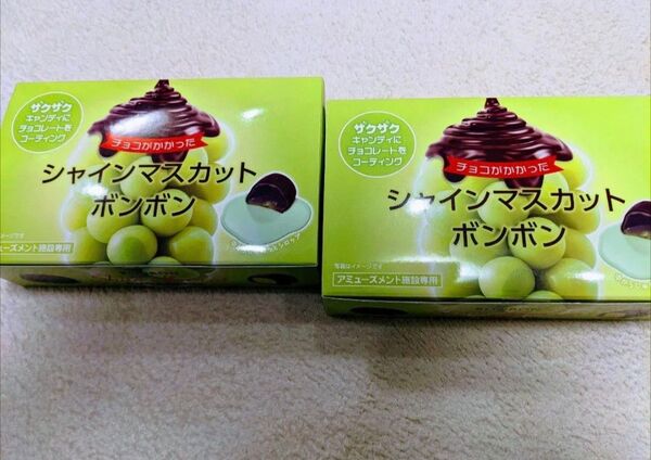 【8個入×2箱】チョコがかかった シャインマスカットボンボン ザクザクキャンディにチョコをコーティング アミューズメント景品
