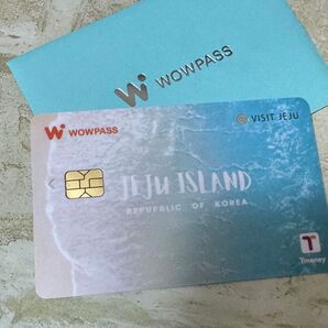 wowpass 韓国交通