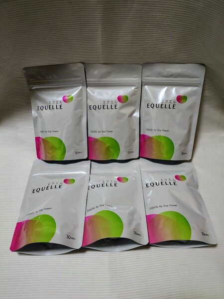 エクエル EQUELLE パウチ 120粒 6袋セット 大塚製薬