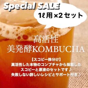 2リットル作成用 コンブチャ マザー菌株 スコビー株分け 詳しいレシピ&サポート付