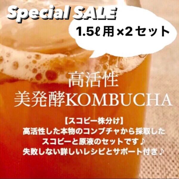 3リットル作成用 コンブチャ マザー菌株 スコビー株分け 詳しいレシピ&サポート付 コンブチャクレンズ 紅茶きのこ