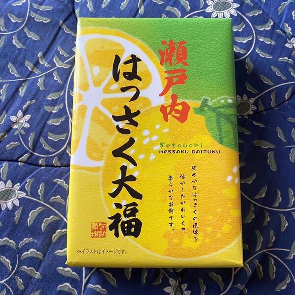 瀬戸内 はっさく大福 10個入り 1箱
