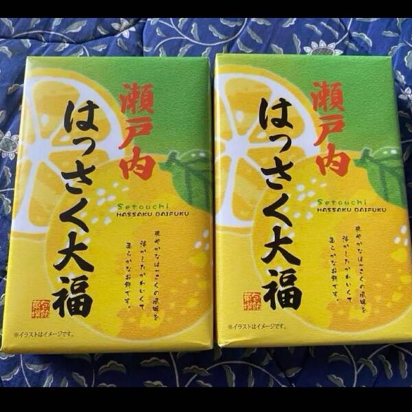 瀬戸内 はっさく大福 10個入り 2箱入り
