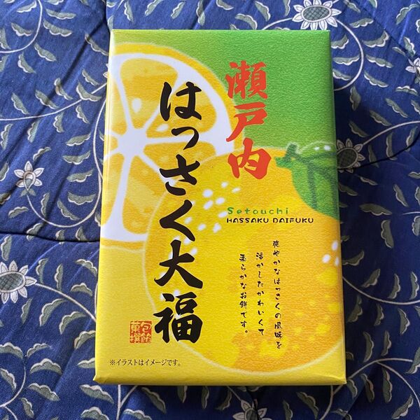 瀬戸内 はっさく大福 10個入り