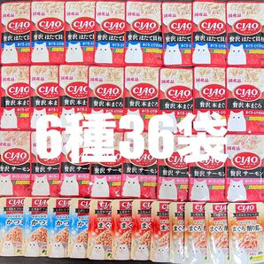 猫 いなば CIAO パウチ 国産品 6種 36袋