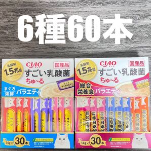 猫 いなば CIAO 国産品 すごい乳酸菌 ちゅーる 6種 14g×60本