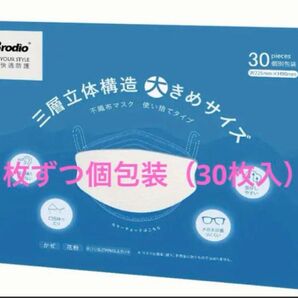 KN95マスク 大きめサイズ 立体マスク 不織布 30枚セット 3D マスク MASK 白
