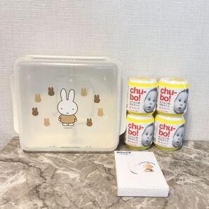 ミッフィー レンジ消毒 携帯哺乳瓶 chili-bo 哺乳瓶 消毒ケース