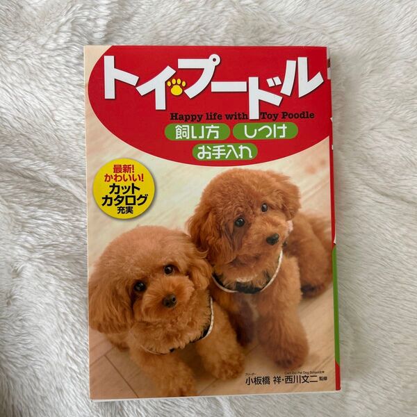 トイプードル 飼い方・しつけ・お手入れ