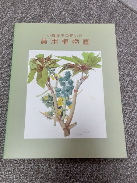 小磯良平の描いた薬用植物画 図録 神戸市立小磯記念美術館 編 C