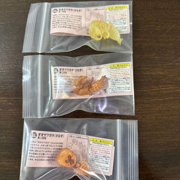 チョコエッグ チョコQ シークレット オオクワガタ さなぎ 3種類