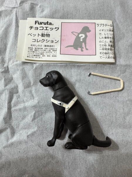 チョコエッグ ペット動物コレクション シークレット ラブラドールレトリバー盲導犬 黒