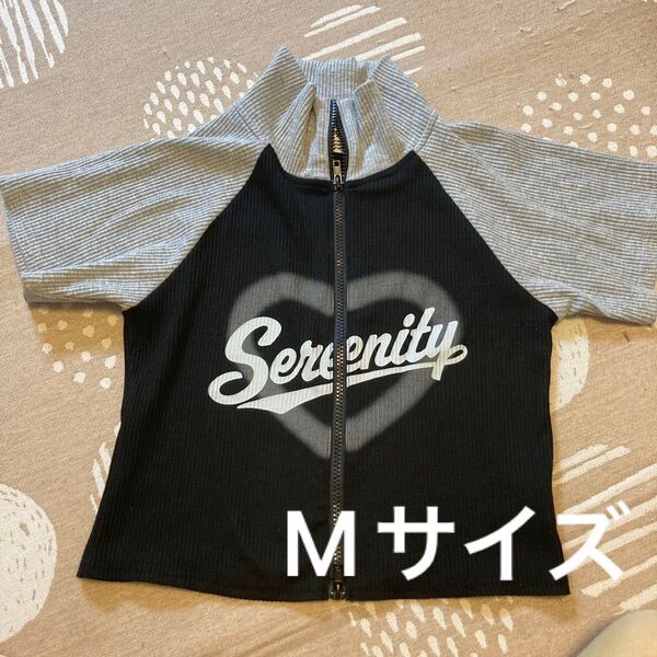 アベイル レディース M Tシャツ リブ 黒 グレー 前開き ハート 半袖 Tシャツ 普段着 キッズ 小学生 中学生 高校生 美品